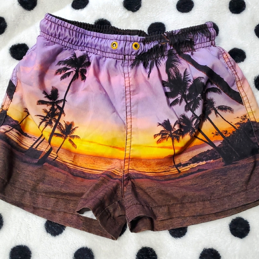 Zara Beach Scene Swim Trunks